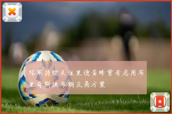绿军持续关注里德黄蜂曾考虑用布里奇斯换布朗交易方案